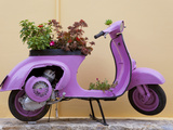 Scooter Flower Display, Symi Island, Dodecanese Islands, Greece Photographic Print by Peter Adams