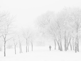 Winter, Saint Petersburg, Russia Photographic Print by Nadia Isakova
