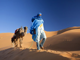 Tuareg Man Leading Camel Train, Erg Chebbi, Sahara Desert, Morocco Photographic Print by Peter Adams