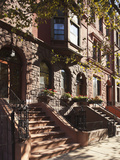 Brownstone Buildings in Harlem, Manhattan, New York City, USA Photographic Print by Jon Arnold