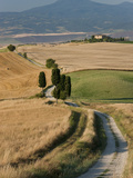 Winding Road, Val D' Orcia, Tuscany, Italy Photographic Print by Peter Adams