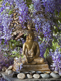 A Small Buddha Shrine Surrounded by Wisteria in Hotel Gangtey Palace, 100-Year-Old Building, Once a Photographie par Nigel Pavitt