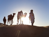 Tuareg Man with Camel Train, Erg Chebbi, Sahara Desert, Morocco Photographic Print by Peter Adams