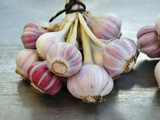 Garlic Photographic Print by Mauricio Abreu
