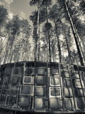 Lithuania, Vilnius-Area, Europos Parkas Sculpture Park, Lnk Infotree by Gintaras Karosas, 2001, Wor Photographic Print by Walter Bibikow