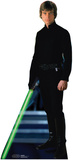 Luke Skywalker Stand Up