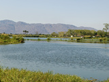Malawi, Liwonde, View Downstream Along the Shire River from the Barrage Near Liwonde Fotografisk tryk af John Warburton-lee