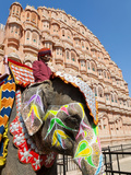 India, Rajasthan, Jaipur, Ceremonial Decorated Elephant Outside the Hawa Mahal, Palace of the Winds Photographic Print by Gavin Hellier