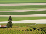 France, Marne, Champagne Region, Mont Aime, Elevated View of Vineyards and Fields Photographic Print by Walter Bibikow