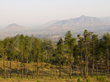 Malawi, Zomba, View over the Town of Zomba from the Lower Slopes of Zomba Plateau Where Once There  Photographie par John Warburton-lee