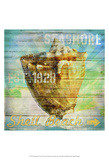 Coastal Fun V Posters by Denise Tedeschi