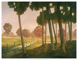 Morning Light II Poster by Graham Reynolds