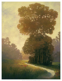 Summertime I Art by Graham Reynolds