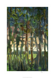 Through the Trees II Limited Edition by Bill Rose