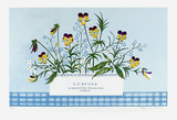 Johnny Jump Up Limited Edition by Mary Faulconer