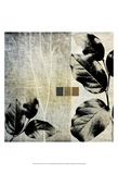 Leaves & Stems II Posters by Catherine Kohnke