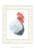 Rooster Insets II Poster by Elissa Della-piana