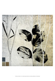 Leaves & Stems I Prints by Catherine Kohnke
