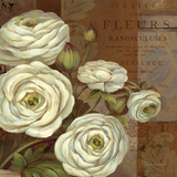 Patina Ranunculus Prints by Pamela Gladding