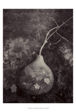 Gourd IV Prints by Elena Ray