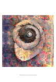 Seashell-Snail Prints by Elena Ray