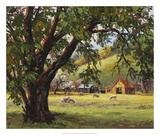 Quiet Meadow Art by Erin Dertner
