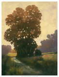 Summertime II Posters by Graham Reynolds