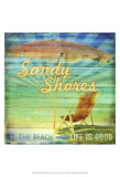 Coastal Fun III Print by Denise Tedeschi