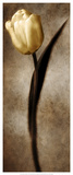Damask Tulip II Posters by Christine Zalewski
