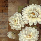 Patina Dahlia Posters par Pamela Gladding