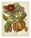 Twining Botanicals I Prints by Elizabeth Twining