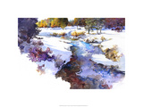 Snake River Meadow - Keystone, Co. Premium Giclee Print by Bruce White