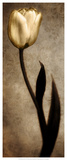 Damask Tulip I Prints by Christine Zalewski