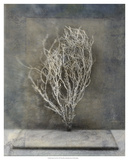 Desert Form III Print by Elena Ray
