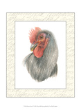 Rooster Insets IV Print by Elissa Della-piana