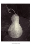 Gourd I Art by Elena Ray
