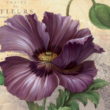Purple Garden I Posters by Pamela Gladding