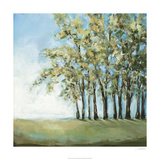 Tree in Summer Limited Edition by Christina Long