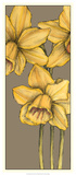 Graphic Flower Panel IV Print by Jennifer Goldberger