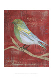 Paper Bird I Prints by Jennifer DeDonato