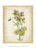 Linen Wildflowers VII Art by Harold Davis
