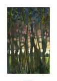 Through the Trees I Limited Edition by Bill Rose