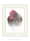 Rooster Insets III Prints by Elissa Della-piana
