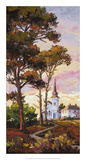 Evening Blush Prints by Erin Dertner