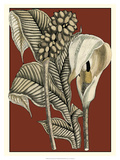Exotic Botanical I Prints