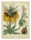 Golden Crown Imperial Art by Sydenham Teast Edwards