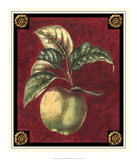Pomme De Hubbardston Posters by Pierre D'Avoine