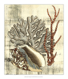 Neptune's Composition I Prints