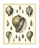 Of Sea and Shore IV Art by Kobelt 
