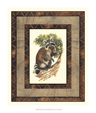 Rustic Raccoon Posters